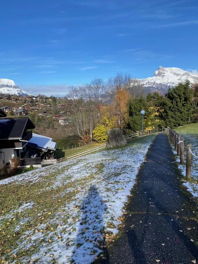 Megeve Le Sapin Bat A Apartment 0*,